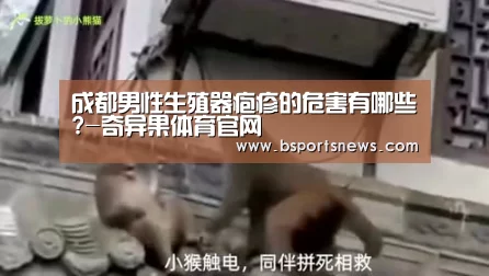 奇异果体育下载直播
