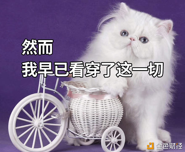 奇异果体育官网