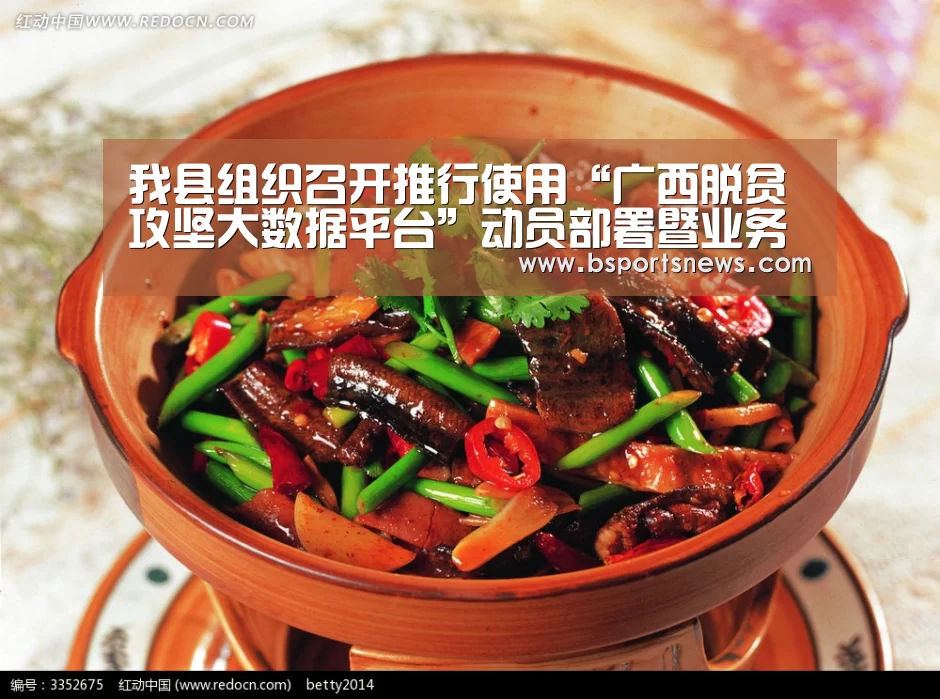 我县组织召开推行使用“广西脱贫攻坚大数据平台”动员部署暨业务培训会【奇异果体育下载官网】(图1) 奇异果体育官网